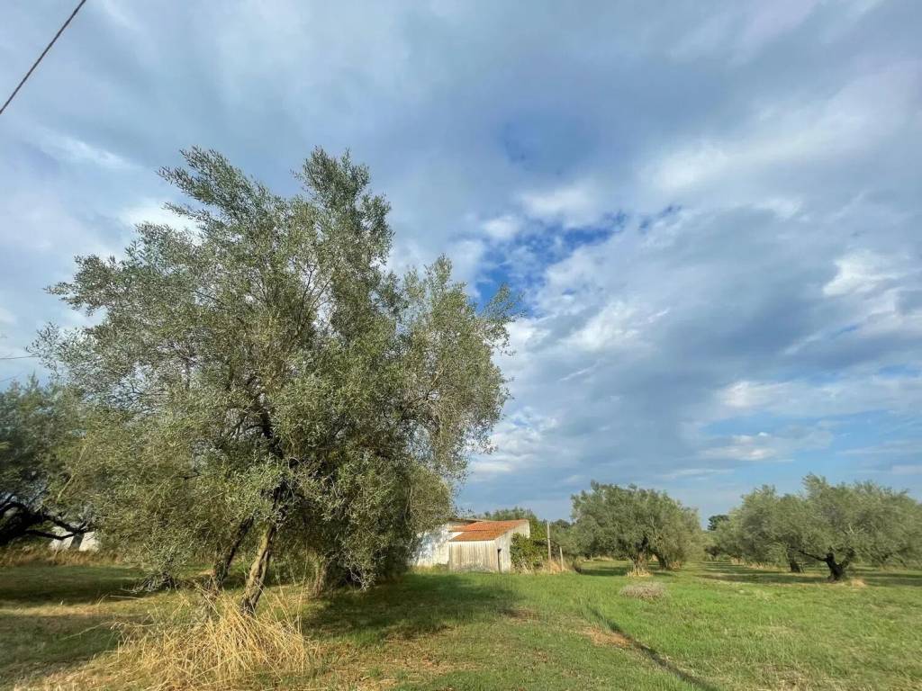 Rustico / casale a Tuscania in Strada Provinciale Martana S.N.C. - Foto 3