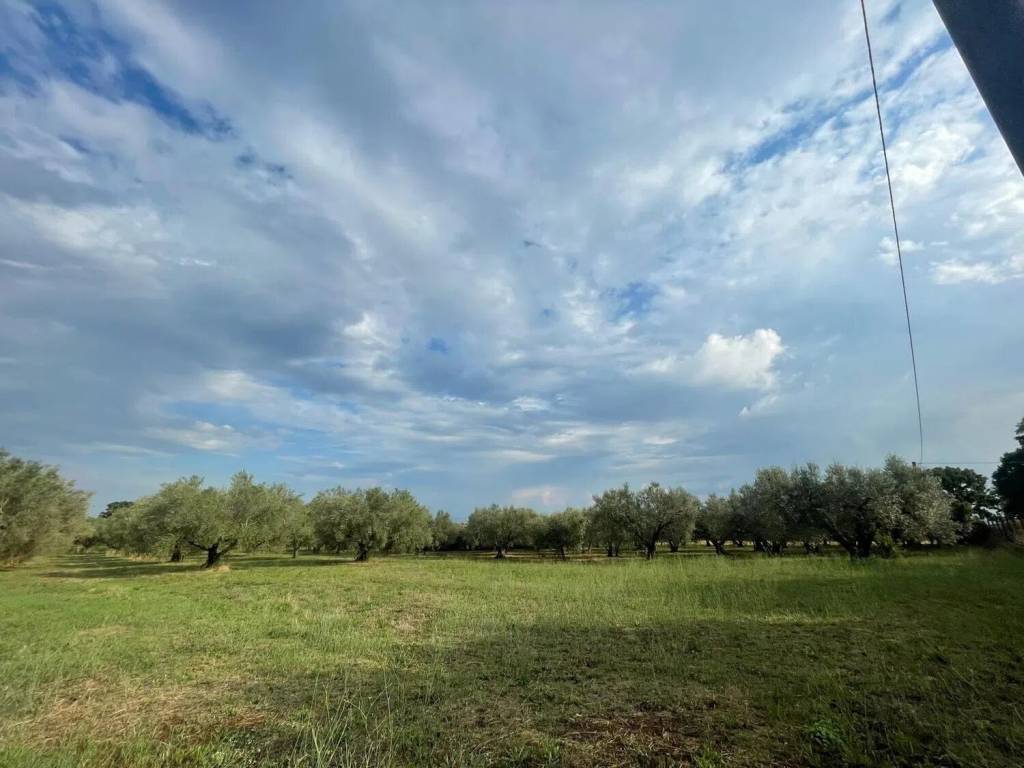 Rustico / casale a Tuscania in Strada Provinciale Martana S.N.C. - Foto 4