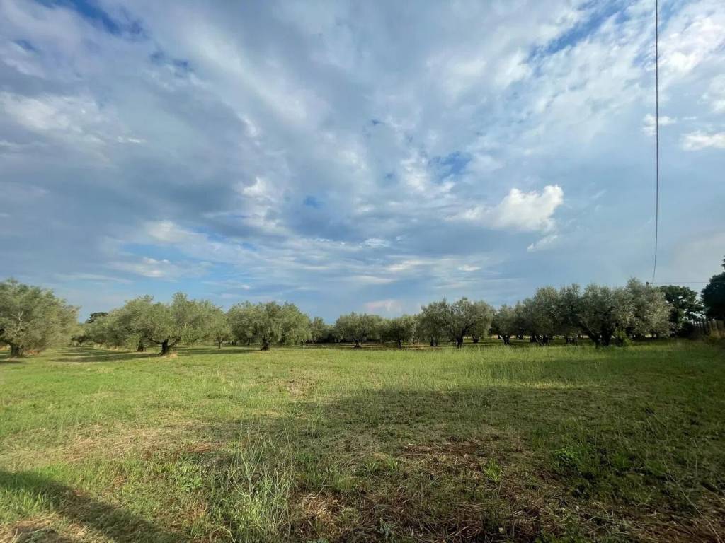 Rustico / casale a Tuscania in Strada Provinciale Martana S.N.C. - Foto 5