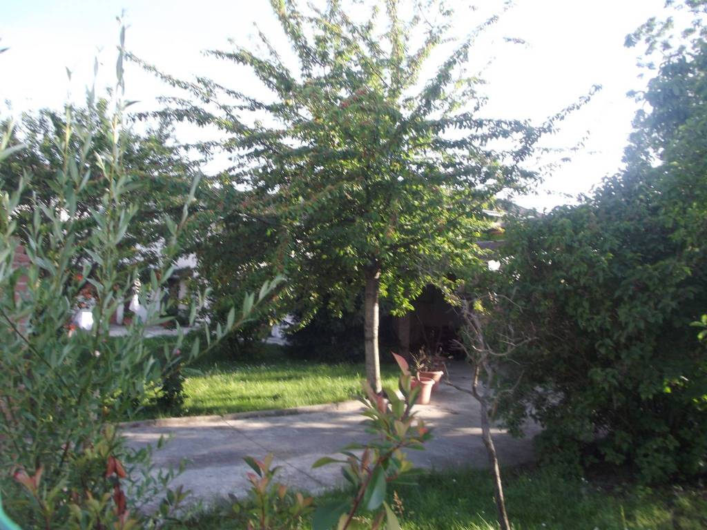 Villa a Alessandria - Foto 5