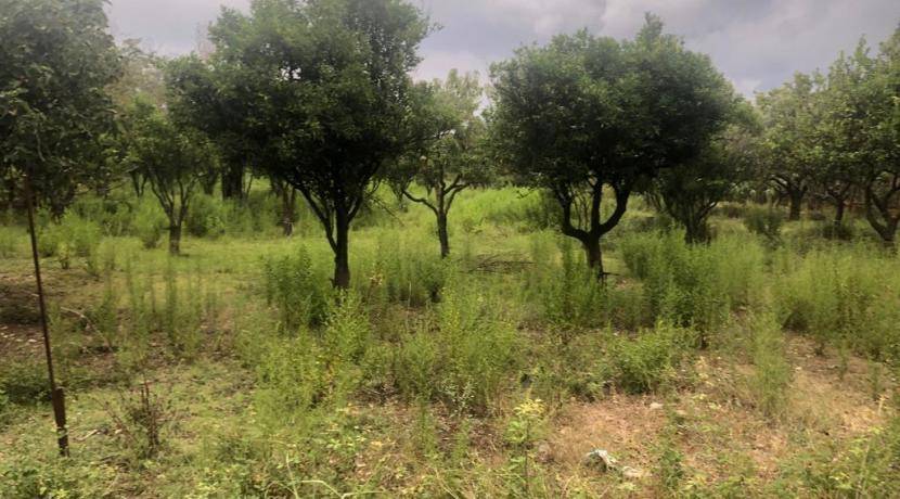Terreno a Benestare in Contrada Belloro - Foto 2