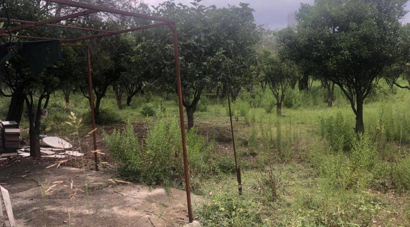 Terreno a Benestare in Contrada Belloro - Foto 3
