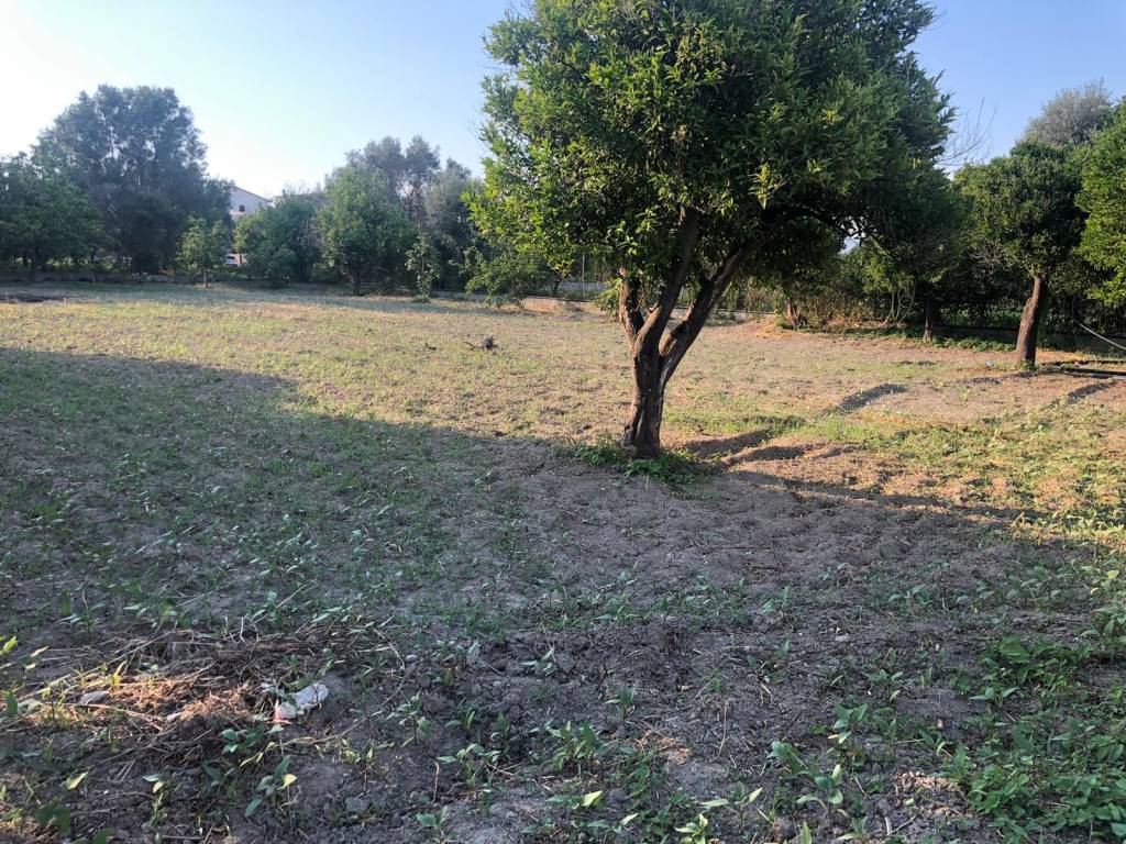 Terreno a Locri in Contrada Cultura - Foto 3