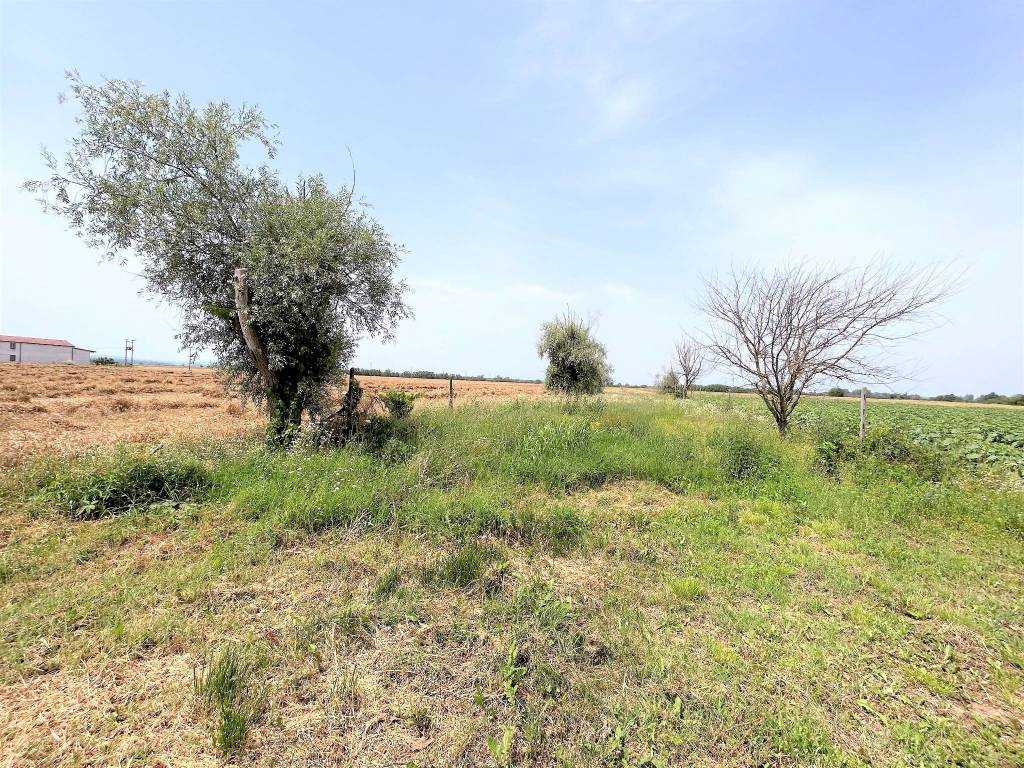 Villa a Alessandria in Via Carentino - Foto 3