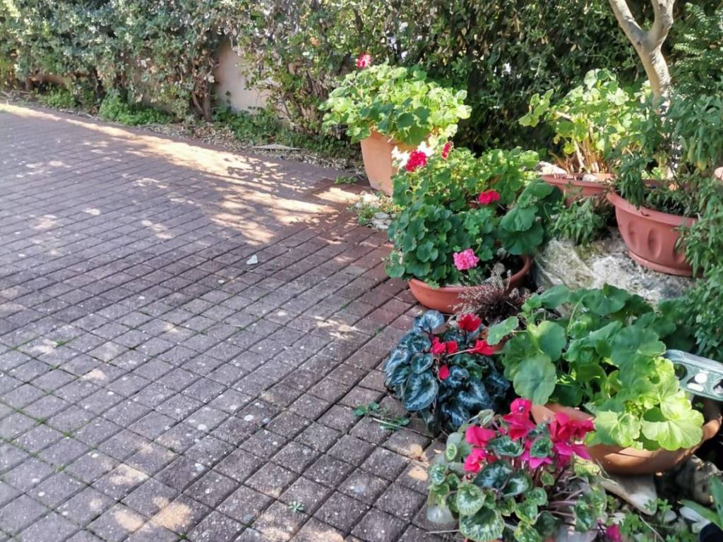 Villa a Brindisi in Via di Torre Testa - Foto 5