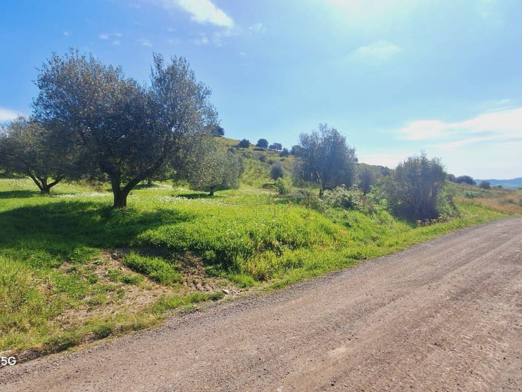 Terreno a Roccalbegna in Podere Ai della Colonna - Foto 2
