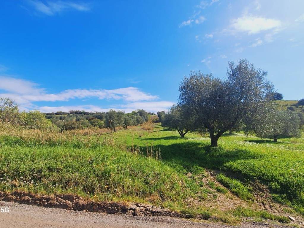Terreno a Roccalbegna in Podere Ai della Colonna - Foto 3