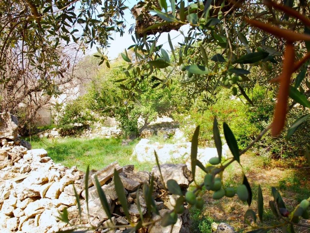 Terreno a Patù in Via Marco Polo - Foto 2