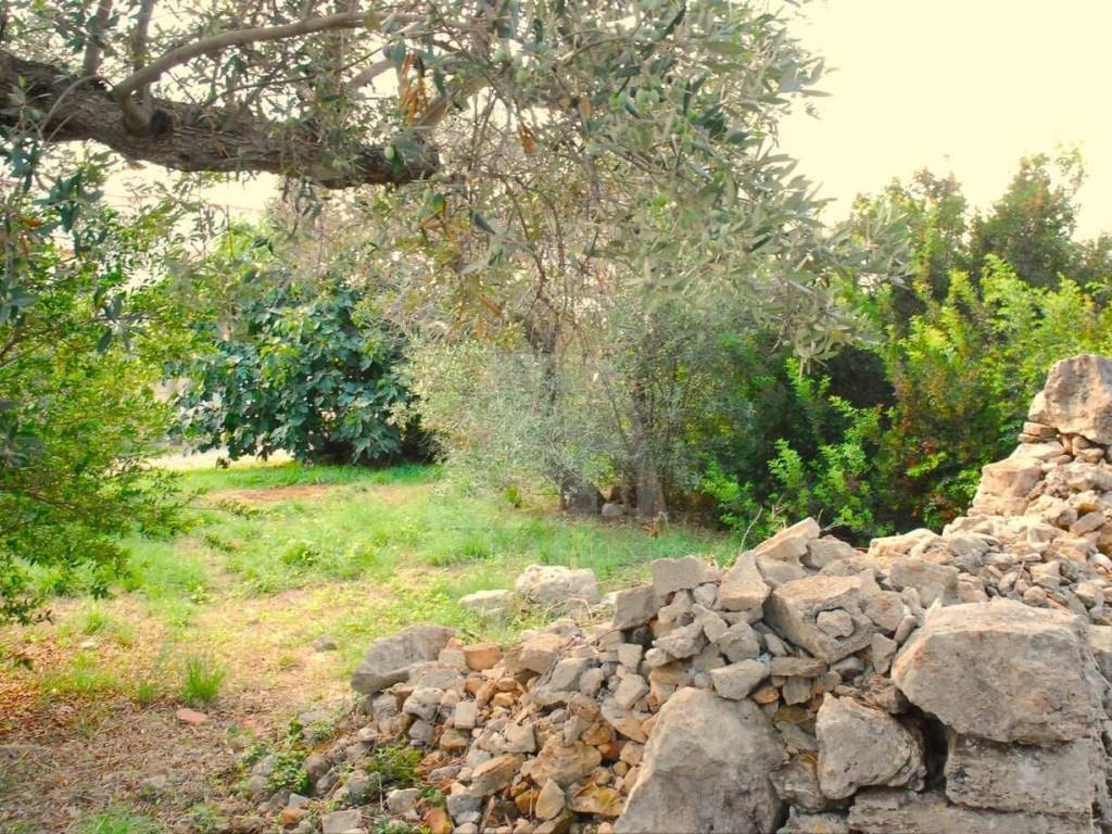 Terreno a Patù in Via Marco Polo - Foto 4