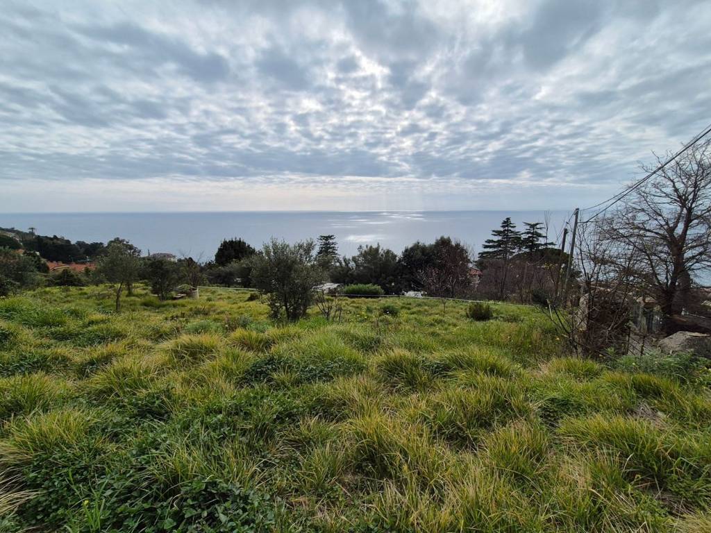 Terreno a Ospedaletti - Foto 5