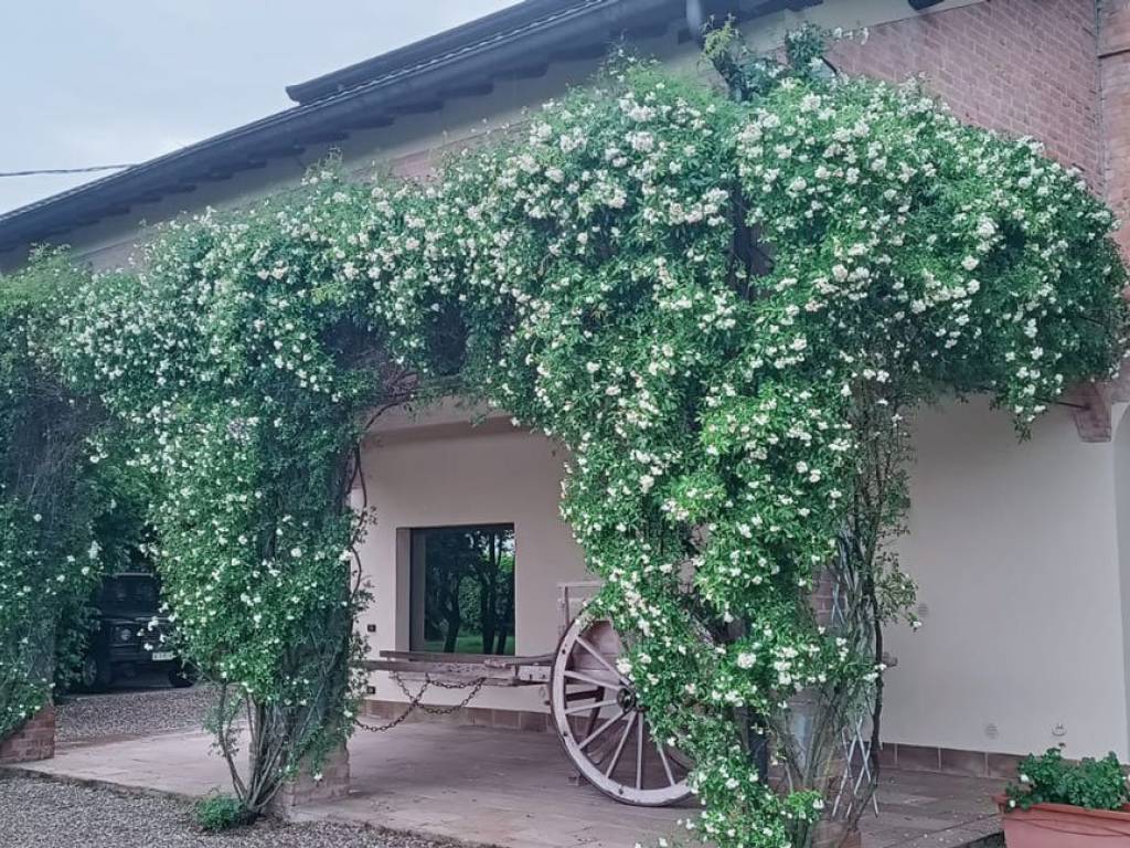 Rustico / casale a Sorbolo mezzani in Stradone dell'Aia - Foto 4