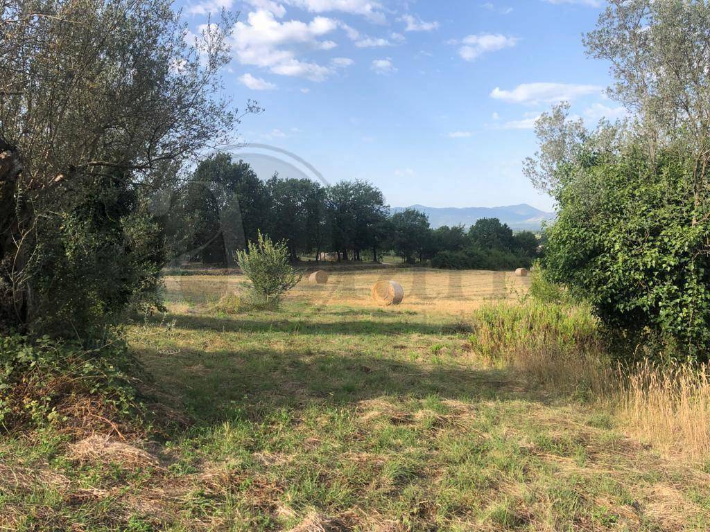 Rustico / casale a Roccasecca in Via Campofiorito - Foto 3