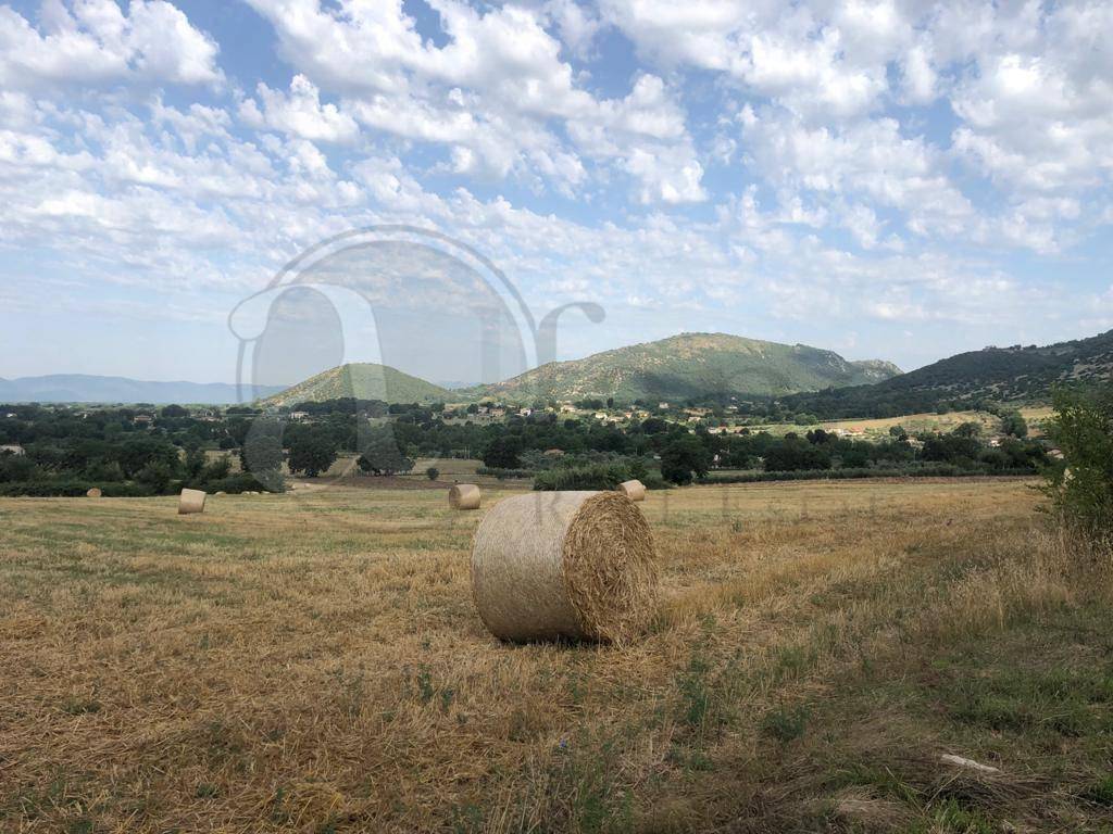 Rustico / casale a Roccasecca in Via Campofiorito - Foto 4