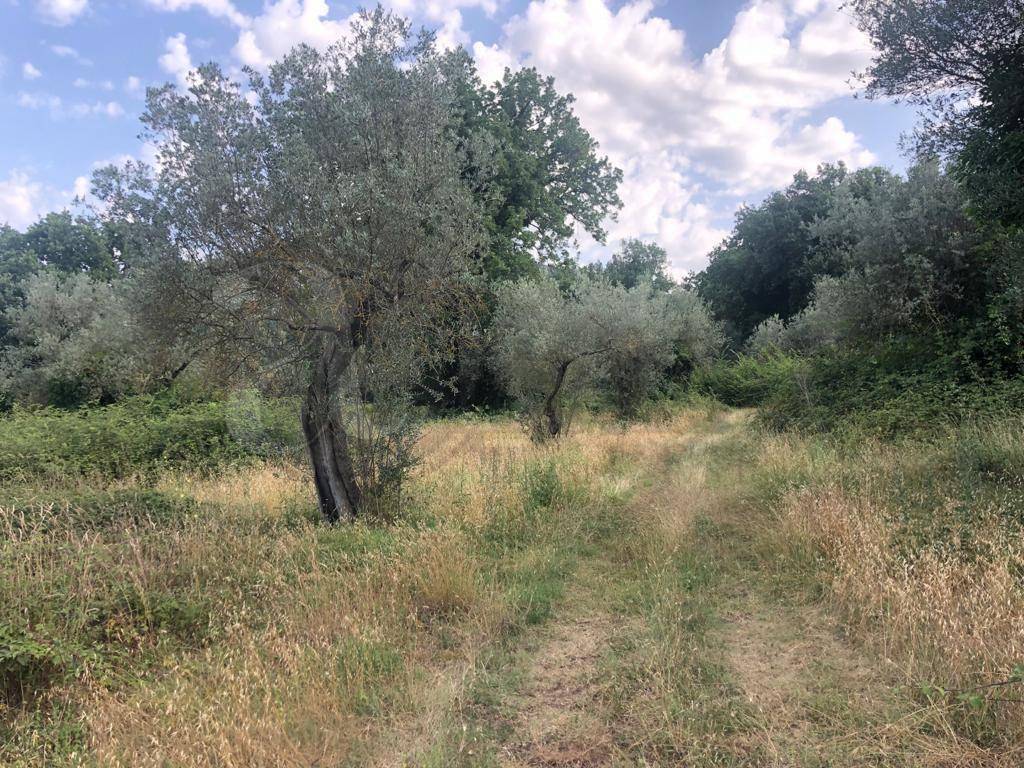 Rustico / casale a Roccasecca in Via Campofiorito - Foto 5