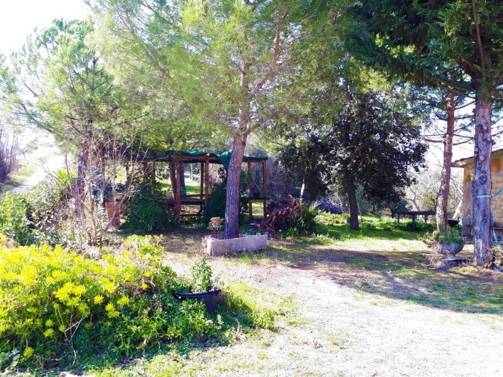 Rustico / casale a Monsampolo del tronto in Contrada San Giovanni - Foto 3