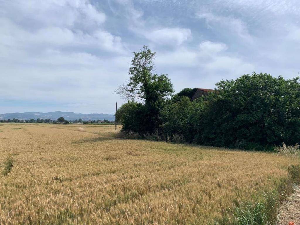 Terreno a Bettona in Via torte, 1 - Foto 2