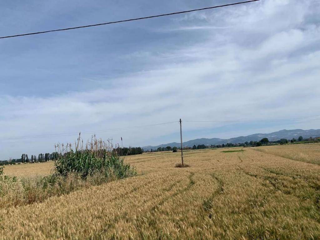 Terreno a Bettona in Via torte, 1 - Foto 3