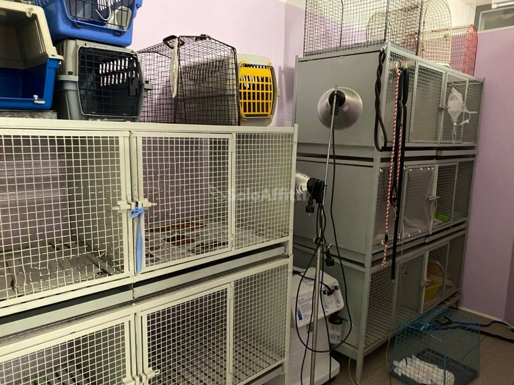 Immobile a Cantù in Via Borgognone - Foto 3