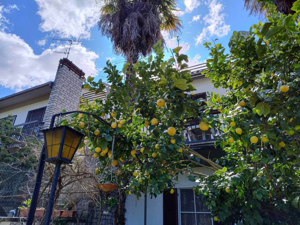 Attico / mansarda a Narni - Foto 3