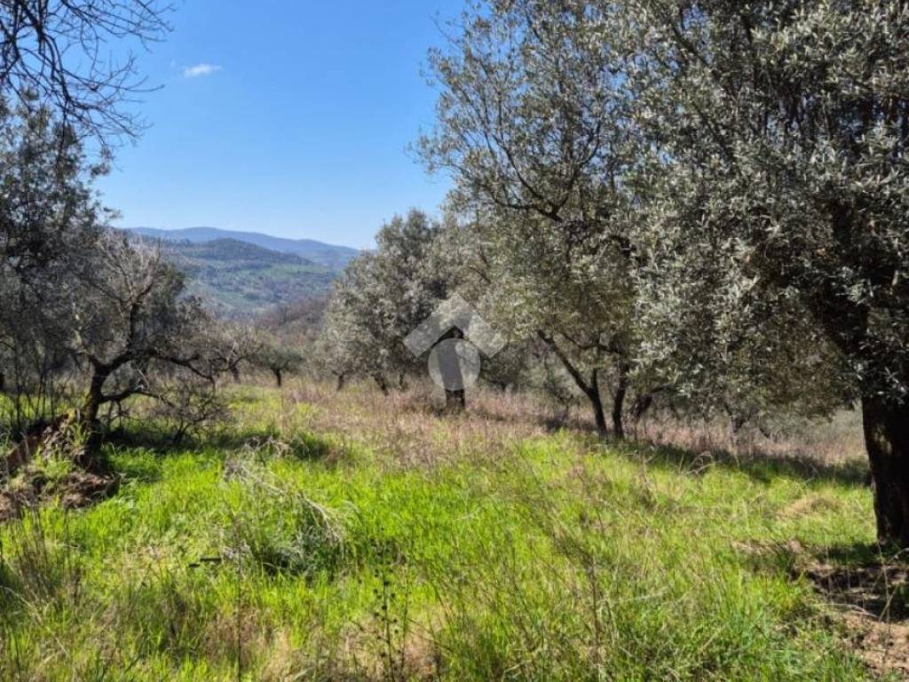 Terreno a Mompeo in STRADA PARADISO - Foto 4