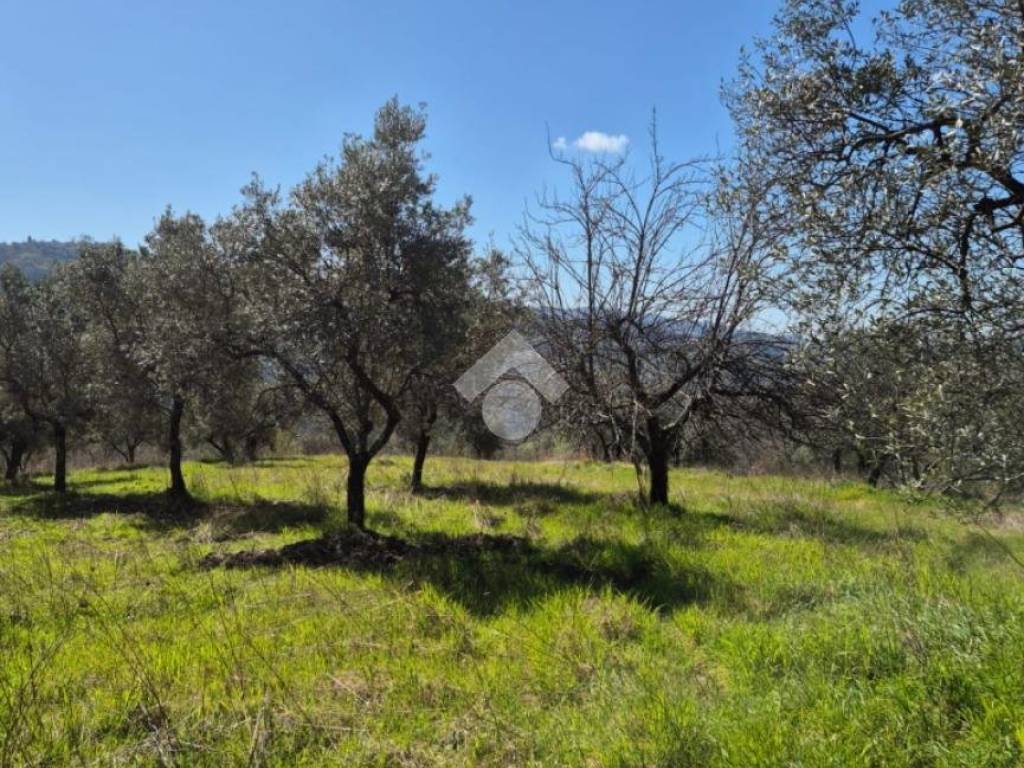 Terreno a Mompeo in STRADA PARADISO - Foto 5