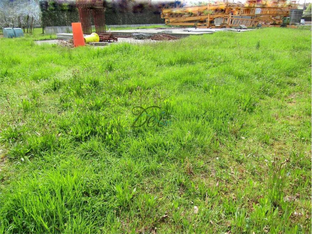 Terreno a Porcari - Foto 2