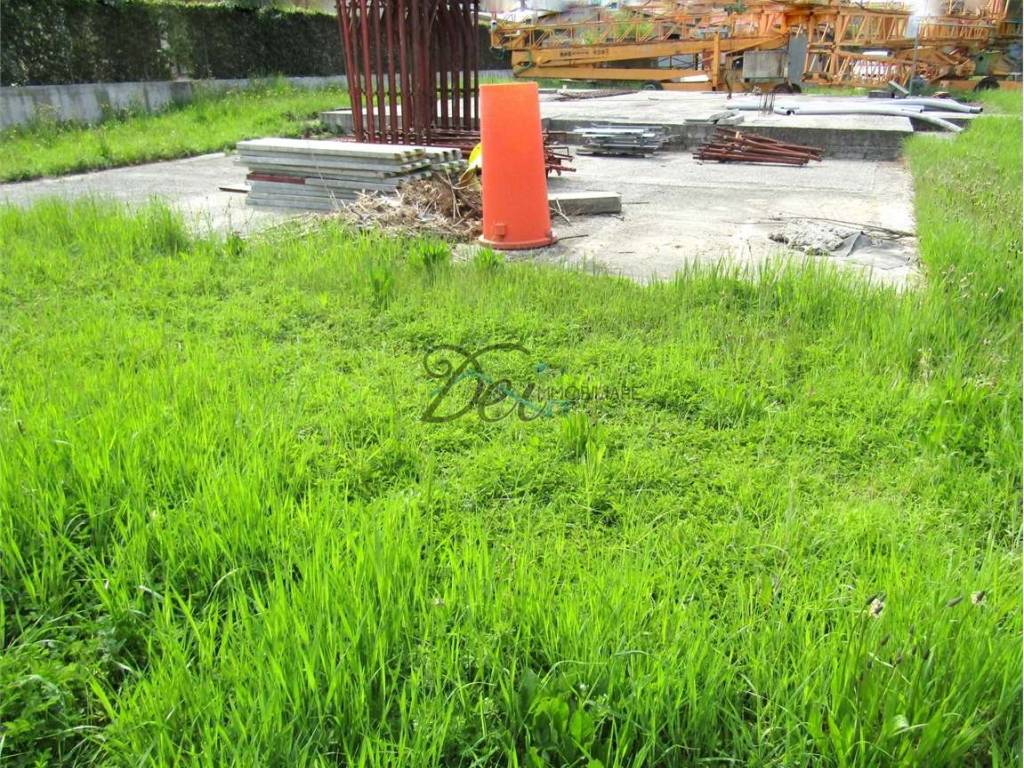 Terreno a Porcari - Foto 3