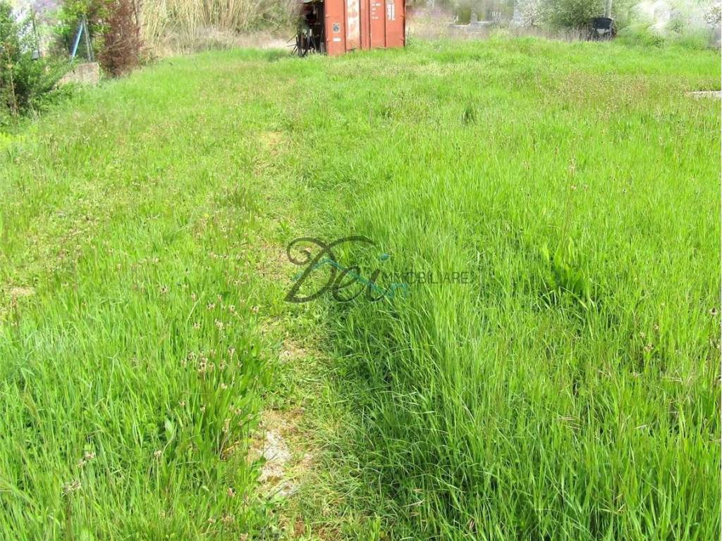 Terreno a Porcari - Foto 4