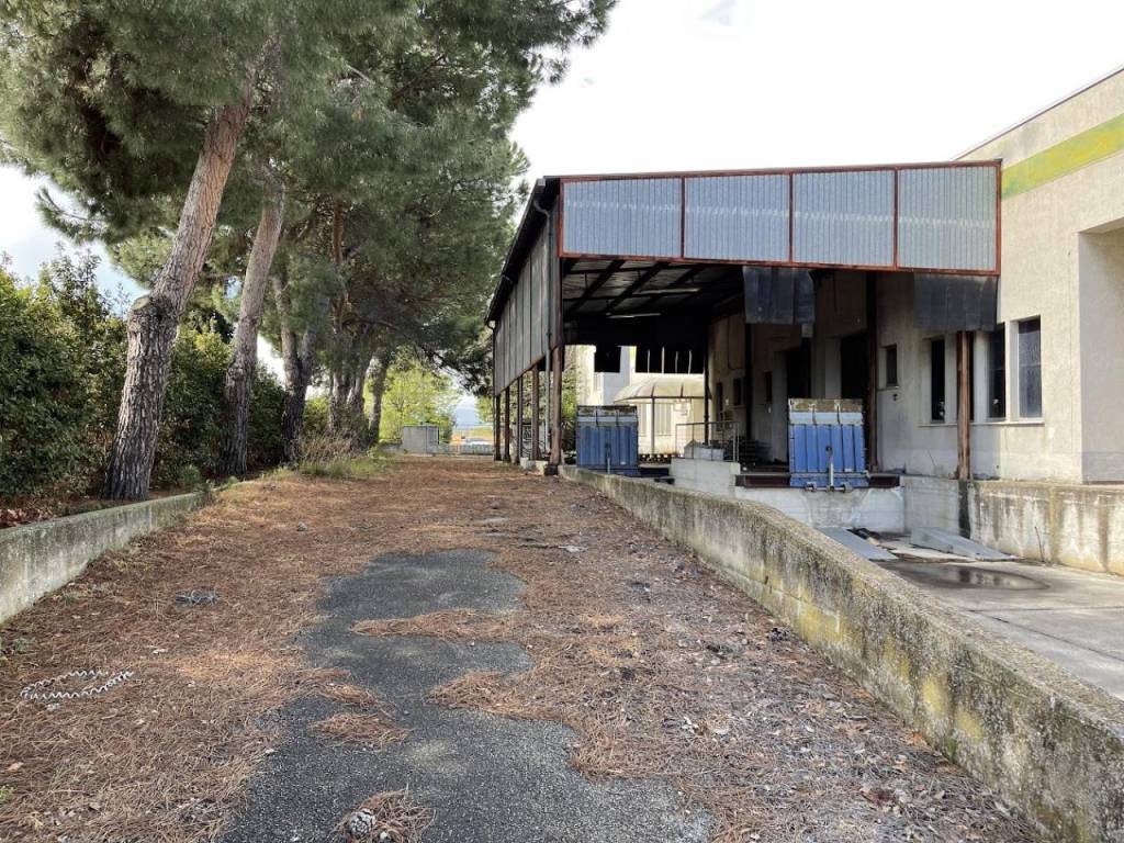 Immobile a Corropoli in VIA SANTA SCOLASTICA - Foto 4