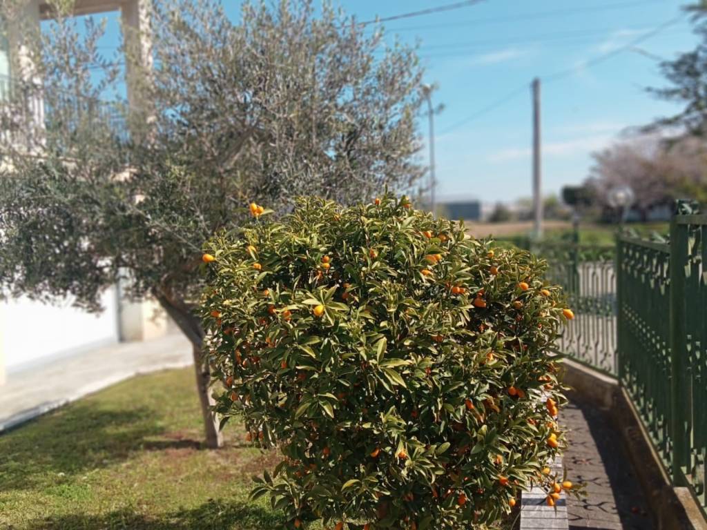 Appartamento a Chieti in Via Penne, 169 - Foto 5