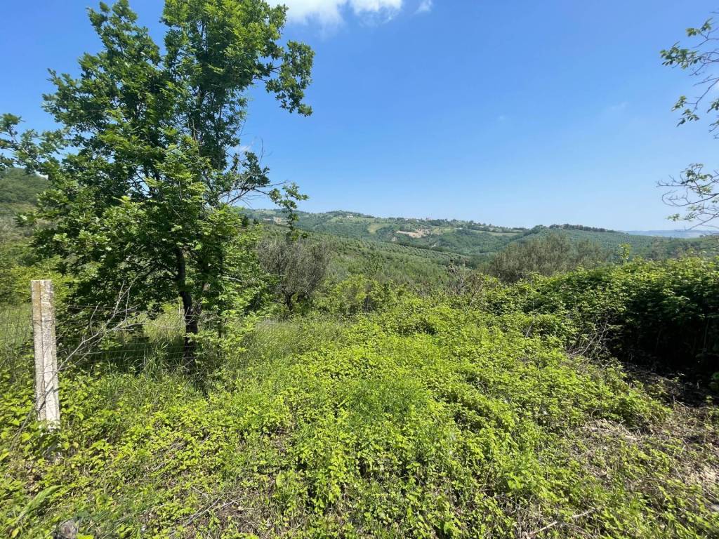 Terreno a Teramo in Contrada Viola, Teramo - Foto 2