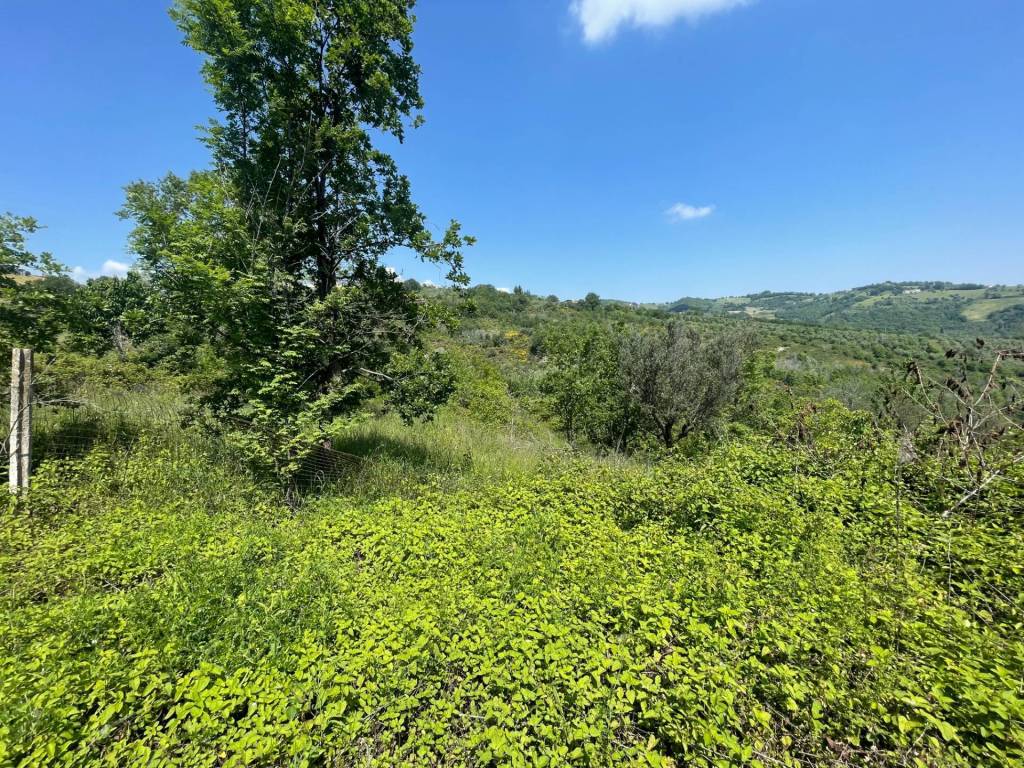 Terreno a Teramo in Contrada Viola, Teramo - Foto 4