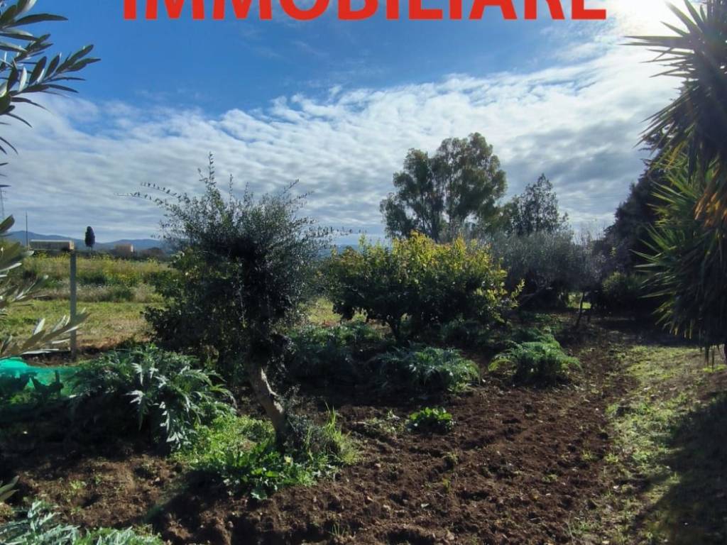 Terreno a Caltanissetta in Strada Statale Agrigentina - Foto 3