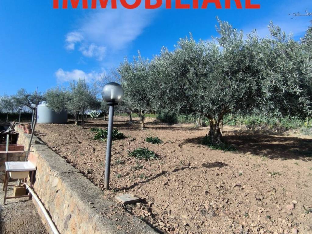 Terreno a Caltanissetta in Strada Statale Agrigentina - Foto 4