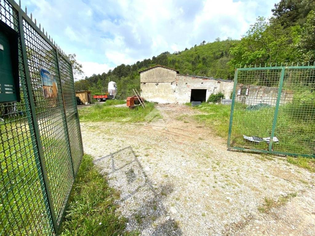 Rustico / casale a Marliana in RUDERE VIA PIANGRANDE, 110 - Foto 4