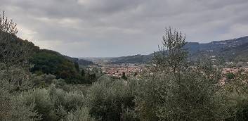 Terreno a Massarosa - Foto 2