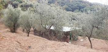 Terreno a Massarosa - Foto 3