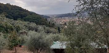 Terreno a Massarosa - Foto 4