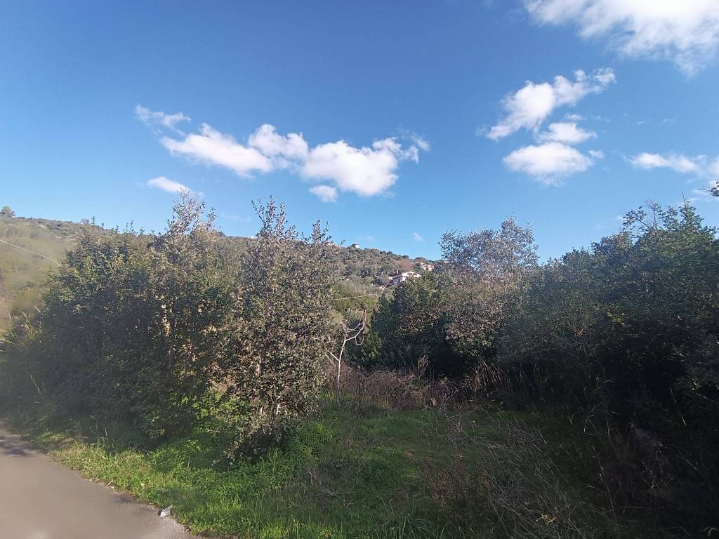Terreno a Casal velino in Località Demanio - Foto 2