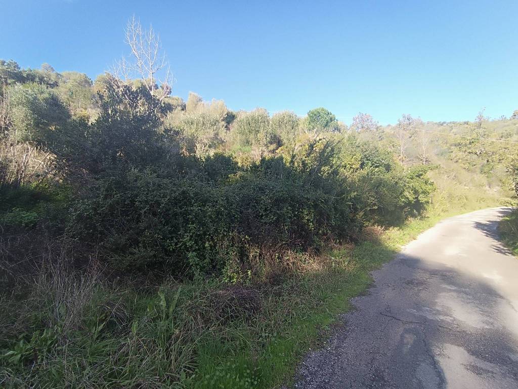 Terreno a Casal velino in Località Demanio - Foto 3