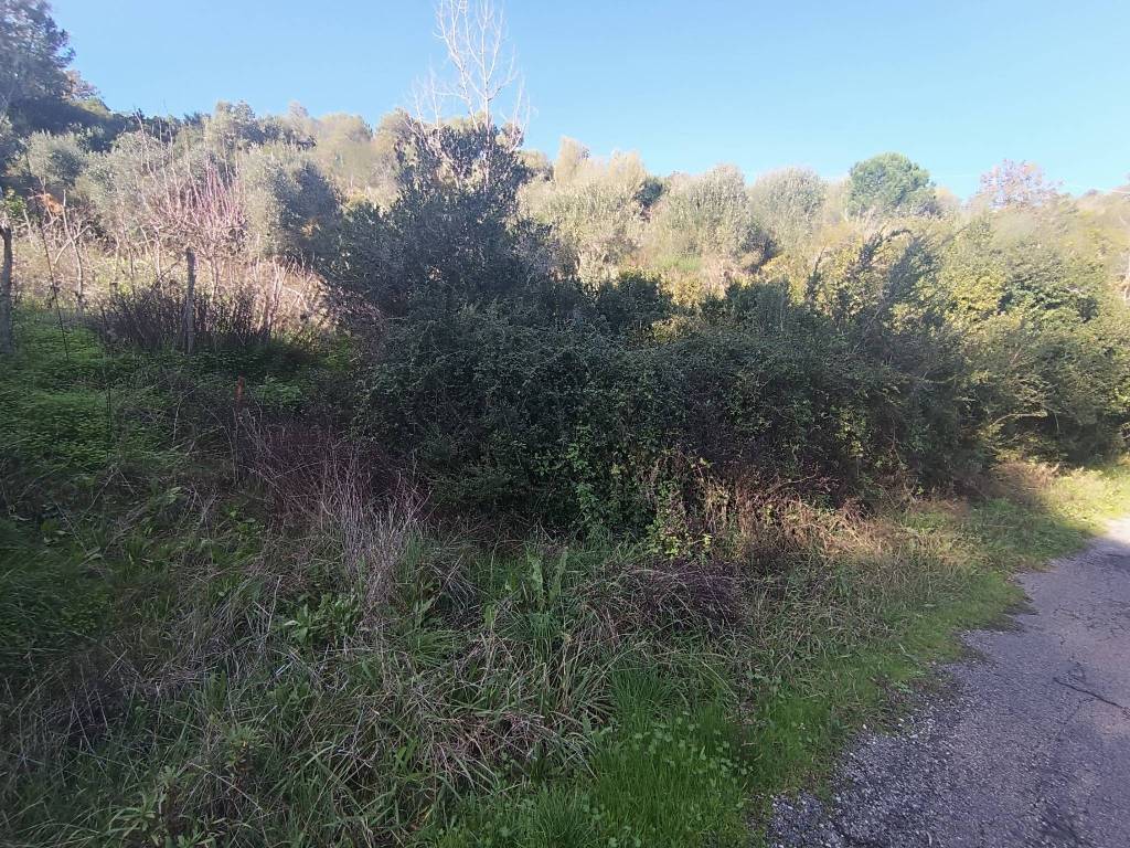 Terreno a Casal velino in Località Demanio - Foto 4