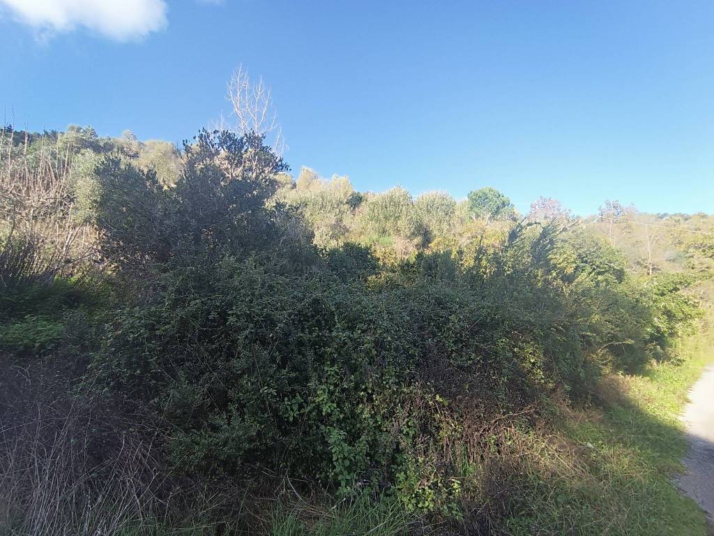 Terreno a Casal velino in Località Demanio - Foto 5