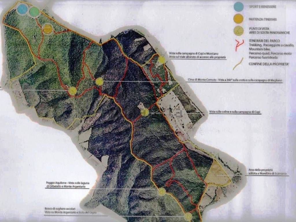 Terreno a Magliano in toscana in Cupi S.N.C. - Foto 2