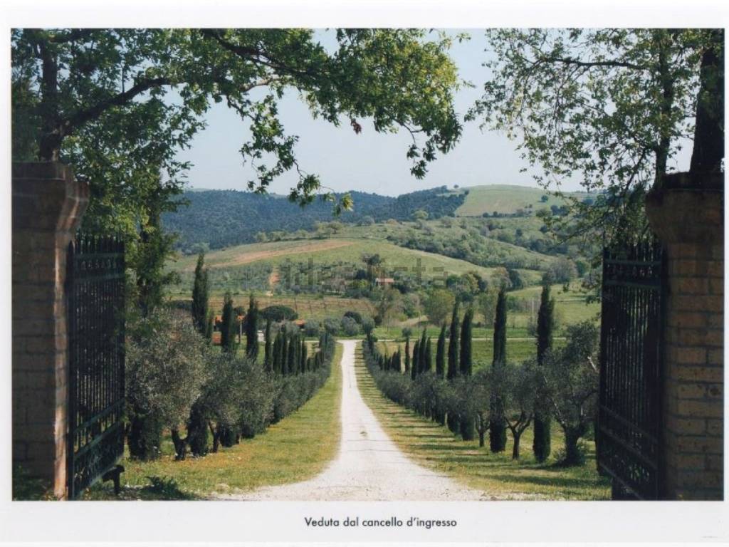 Terreno a Magliano in toscana in Cupi S.N.C. - Foto 3