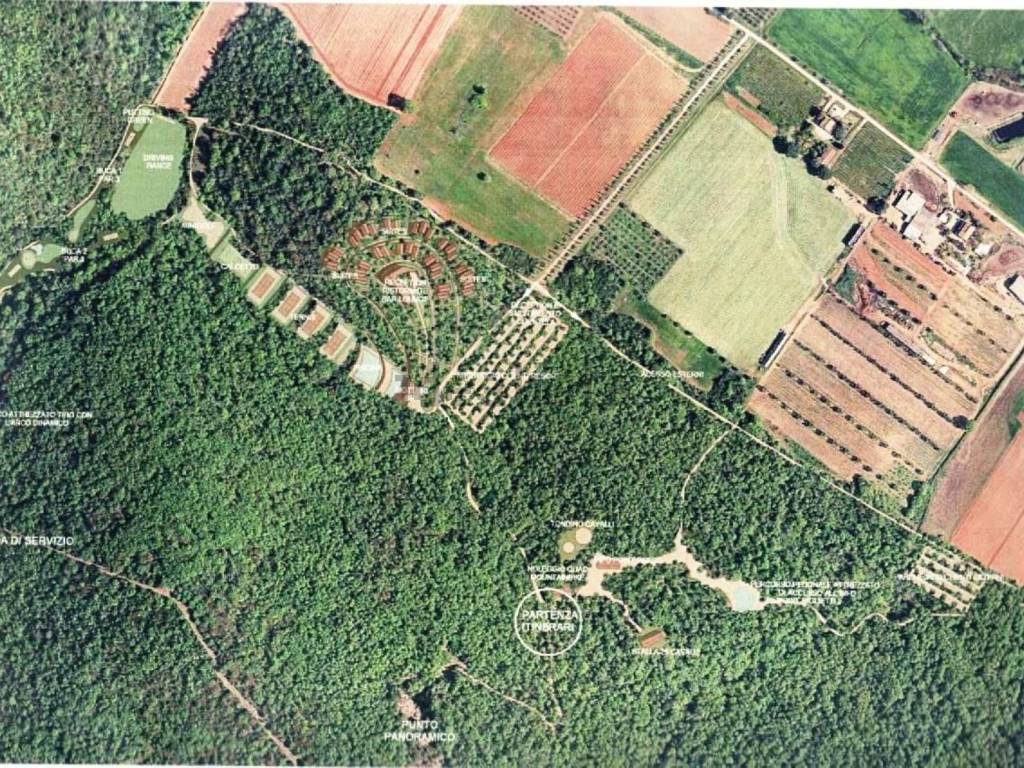 Terreno a Magliano in toscana in Cupi S.N.C. - Foto 5