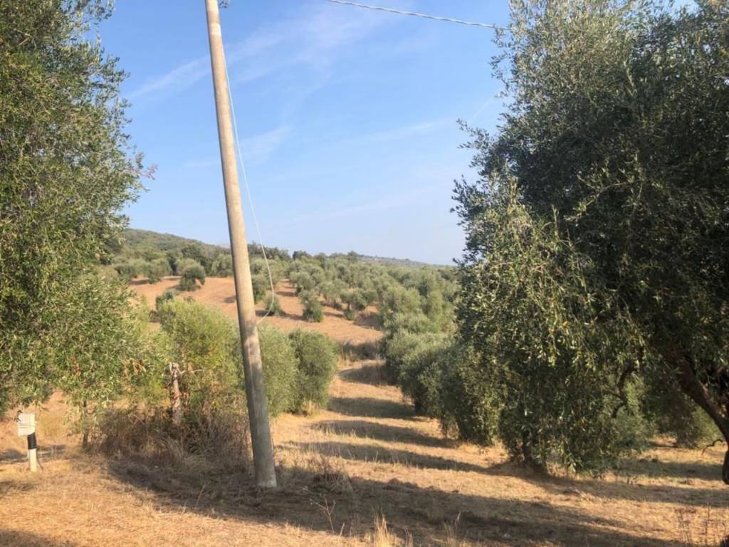 Terreno a Castiglione della pescaia in Strada Delle Strette S.N.C. - Foto 2