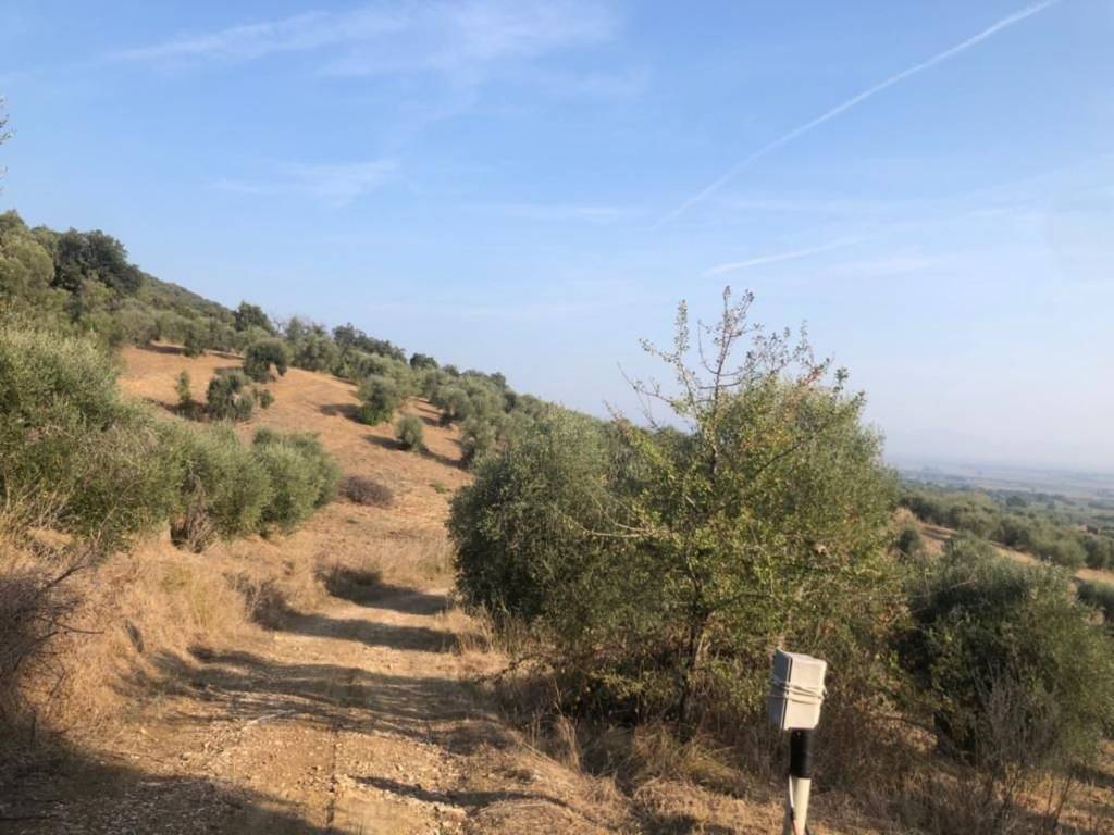 Terreno a Castiglione della pescaia in Strada Delle Strette S.N.C. - Foto 3
