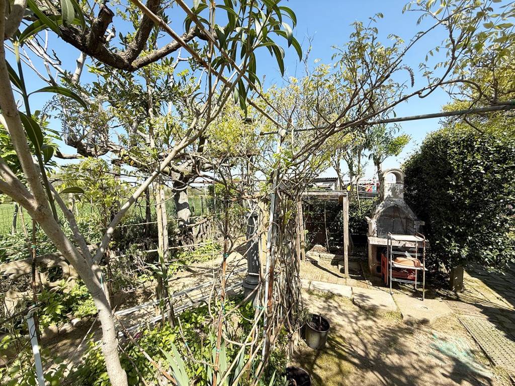 Casa indipendente a Casalgrande - Foto 2