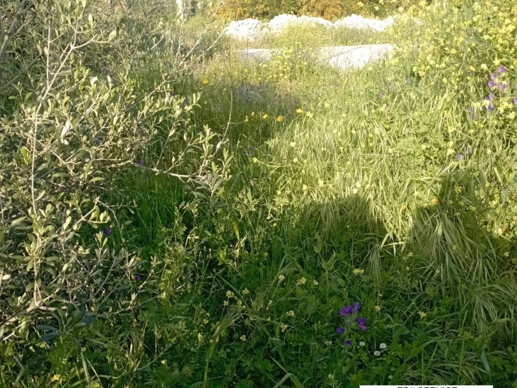 Terreno a Augusta in Contrada Serpaolo - Foto 4