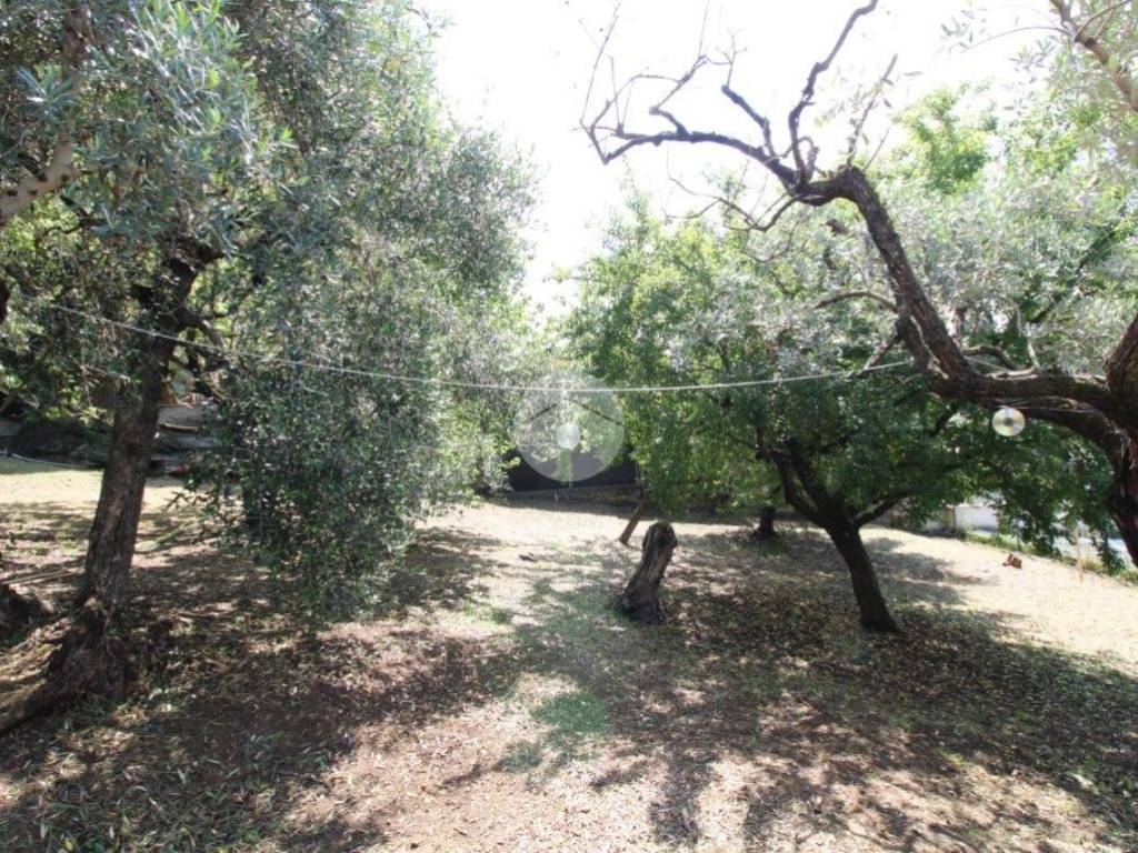 Terreno a Fara in sabina in VIA ENRICO TODI, 12 - Foto 2